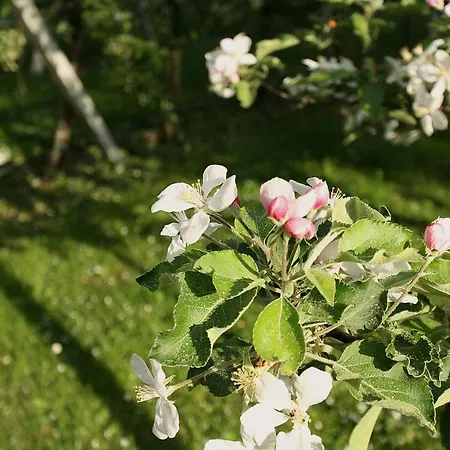 Bauernhof Spielmann Vendégház 3*