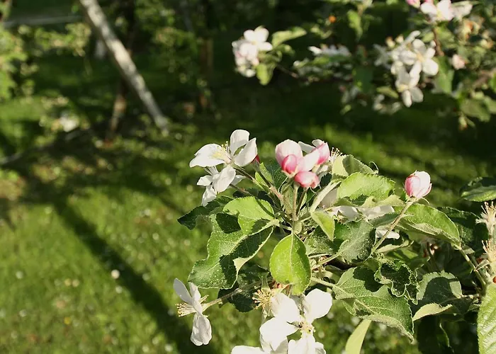 Bauernhof Spielmann Casa de hóspedes 3*